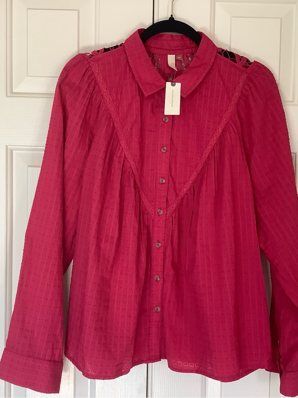 Anthropologie Pilcro Womens Fuchsia Button-Front Blouse with Lace Yoke